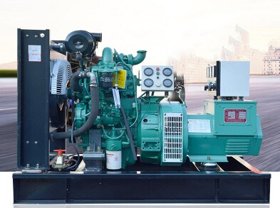 彬村山华侨农场全新上柴50kw大型柴油发电机组